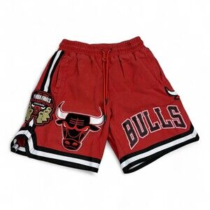 Pro Standard Chicago Bulls Embroidered Logo Men's Shorts M